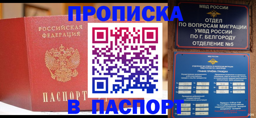 временная регистрация в квартире в Кольчугино