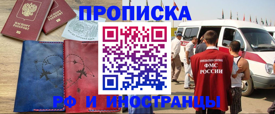 прописка в Кольчугино